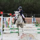 poney de sport à vendre 