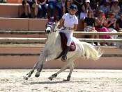 poney de sport à vendre 