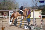 PONY SUPER