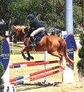 PONY SUPER