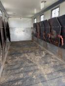 Paardentruck Mercedes  2019 Tweedehands