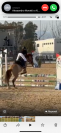 Pony , sauro, 6 anni