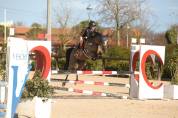 SUPER PONY?