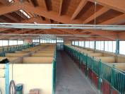 Franciacorta azienda agricola in vendita