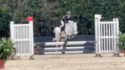 Bravissima pony