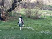Bravissima pony