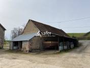 Sheep farm  Allier