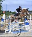 Mare Origin Recorded For sale 2020 Palomino