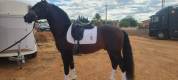 Se vende a Japones MFE IV 