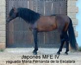 Se vende a Japones MFE IV 