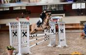 Vendita pony Francese 
