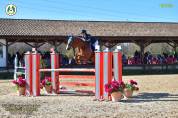 pony da salto del 2016