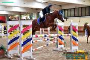 pony da salto del 2016