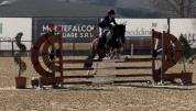 Pony femmina del 2015