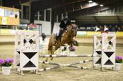 Vendita pony sportiva del 2017