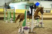 Vendita pony sportiva del 2017