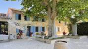 Camargue - Splendide domaine de 13 hectares
