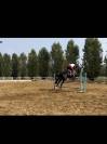 Cavalla Hannover 
