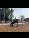 Cavalla Hannover 