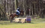 Poney D origine constatée