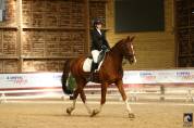 Hongre 13 ans loisir dressage