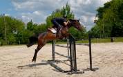 Top jument CSO 