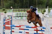 Jument 6ans par Untouchable