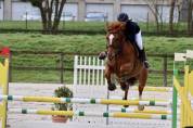 Jument 6ans par Untouchable