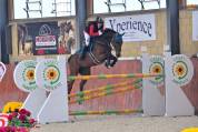Cavallo per cat fino 1m25