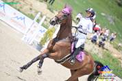 Cavallo per cat fino 1m25
