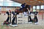 Cavallo per cat fino 1m25