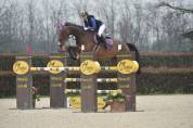 Cavallo per cat fino 1m25