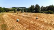 Petite exploitation à vocation Polyculture-Elevage avec local t