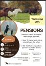 Pension chevaux 