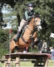 Pony da salto/cross