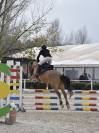Vendo pony italiano 