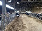 Azienda ovina In vendita Allier