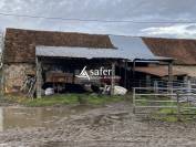 Azienda ovina In vendita Allier