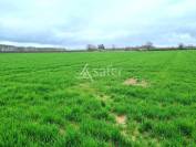Other agricultural property  Tarn-et-Taronne