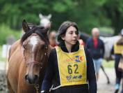 Olimpig, ONC de 7 ans – Type Lusitanien 