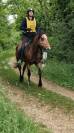 Olimpig, ONC de 7 ans – Type Lusitanien 