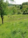Pension parcs