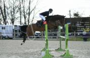Jument CSO amateur à vendre 115-120 