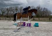 Jument CSO amateur à vendre 115-120 