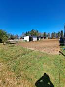Pension paddock 