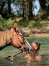 Pony da salto 