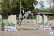 Cavalière / Enseignante 