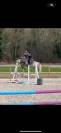 Poney C - 6 ans - AS2 AS1