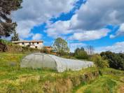 Mas cévenol agricole restauré, sur 9 ha