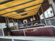 Vans chevaux + homecar